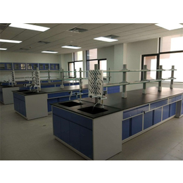 实验室家具定做-实验室家具-津米全钢通风柜