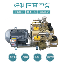 广州好利旺代理商CBX25-P-VBVB-03干式无油风泵缩略图