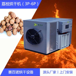 惠州荔枝干燥设备-小型荔枝烘干机-荔枝干燥设备图片