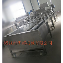 气泡蔬菜清洗机生产-广西蔬菜清洗机-华邦机械(多图)