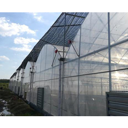 合肥润绿质量保障(图)-玻璃温室大棚建造-阜阳温室大棚