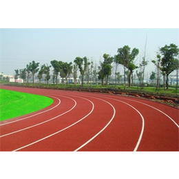 北京塑胶跑道-鼎亚体育设施工程-北京塑胶跑道厂家