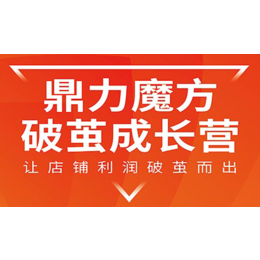 淘宝学校培训直搜收费-阳江直搜收费-炬鼎力教育(查看)