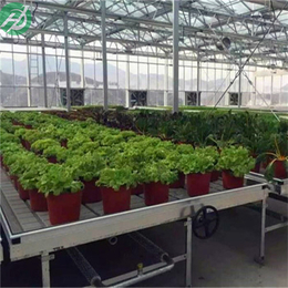 ABS根据作物需求优化灌溉温室大棚灌溉式苗床