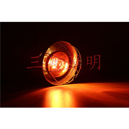 三渡照明电器(图)-猪崽保温灯价格-天津猪崽保温灯