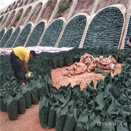 衢州生态袋-*河道护坡绿化-生态袋生产厂家
