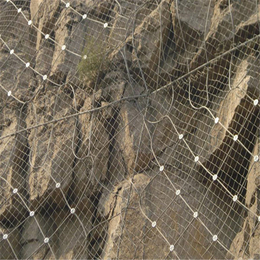 柔性边坡防护网-陆路通-防护网