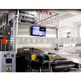 丽星机械-辽宁自动化酸辣粉加工设备厂房规划