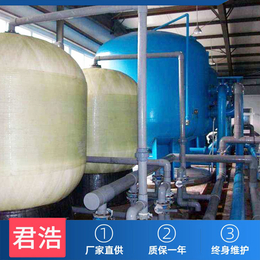 大型制造行业软化水设备 定制软水处理器