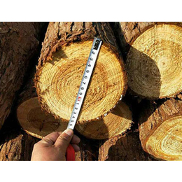 景观木桩厂家-上海景观木桩-宣城顺发杉木桩报价(查看)