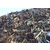 亿鑫顺物资回收公司(图)-废金属回收-十堰废金属缩略图1