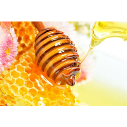 青岛港蜂蜜进口清关流程可以咨询巨晖 