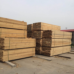 求购辐射松建筑木方-辐射松建筑木方-日照友联木材加工厂家