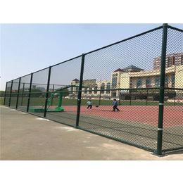 安平鹏威(图)-篮球场围网厂家-篮球场围网