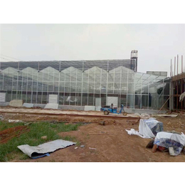 阳光板温室-青州瀚洋农业(图)-智能阳光板温室