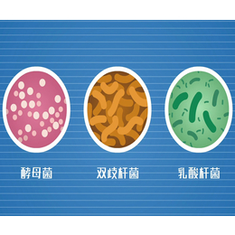 攀枝花MG动画制作周期「多图」