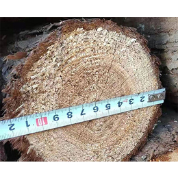 河道木桩价格-顺发木业杉木桩批发-苏州河道木桩