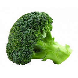 刘建平蔬菜蔬菜(图)-新鲜蔬菜价格-新鲜蔬菜