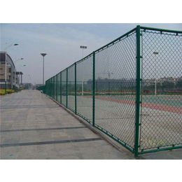 河北霸鑫丝网-球场围网-篮球场围网球场围网物美价廉