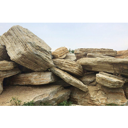 景观石价格-和谐景观石(在线咨询)-徐州景观石
