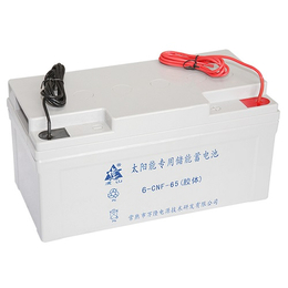 郑州蓄电池-万隆电源技术研发-应急电源用蓄电池
