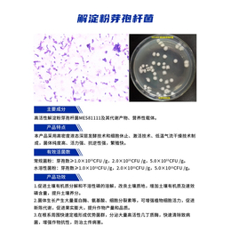 解淀粉芽孢*-坤禾生物(在线咨询)-解淀粉芽孢*经销商