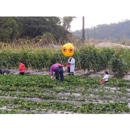 让孩子尽情接触自然龙岗农家乐亲子休闲游