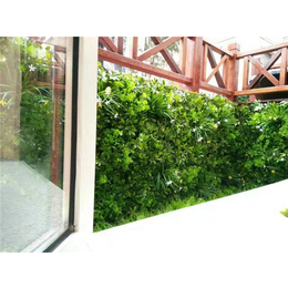 室内绿植隔断墙安装-绿植隔断墙安装-美尚园艺*安装