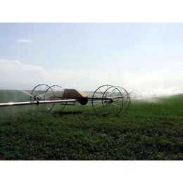 禄丰节水滴灌设备-润成节水灌溉销售-大田节水滴灌设备生产厂家