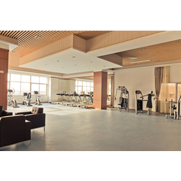 室内健身器材厂-大有健身器材-淳化室内健身器材