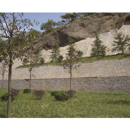 蚌埠园林绿化-铜陵百通生态环境 -园林绿化施工