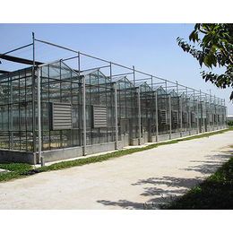 千宏温室(图)-连栋玻璃温室效果图-玻璃温室