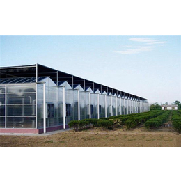 齐鑫温室园艺(在线咨询)-建造阳光板温室-建造阳光板温室厂家