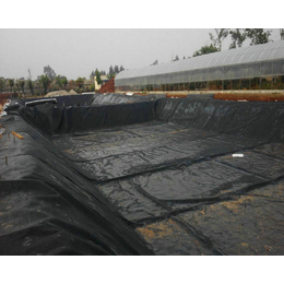 惠农污水池覆盖HDPE防渗膜多少钱一平*池顶膜覆盖膜