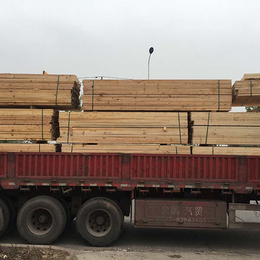 铁杉建筑木材的应用-铁杉建筑木材-日照永荣木材厂(图)