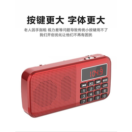 北京收音机厂家-德旺电子工厂直营-多功能收音机厂家*