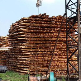 防腐油木杆报价价格-防腐油木杆生产厂家-防腐油木杆