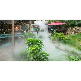 河北园林景观小区庭院水池人造雾造景高压降温加湿森系统主机