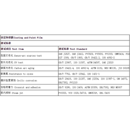 漆膜项目测试项目标准
