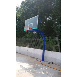 株洲圆管篮球架篮板-红枚体育*服务-圆管篮球架篮板零售