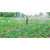 瑞丽灌溉设备厂家-润成节水灌溉(在线咨询)-瑞丽灌溉设备缩略图1