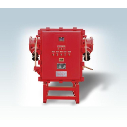 供应厂家PJG-630-10矿用隔爆型高压真空配电装置