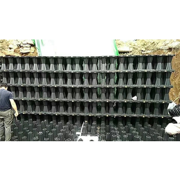 PP模块生产厂家-张家港雨水收集-江苏洁水神化粪池