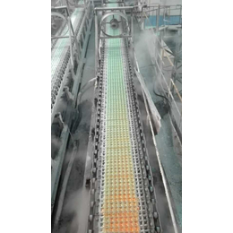 鲁冠玻璃机械-广州泡花碱成型机-固体泡花碱成型机
