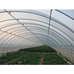 滑县蔬菜大棚生产厂家-亿农农业(在线咨询)-滑县蔬菜大棚