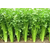 湖南蔬永农产品公司 长沙蔬菜配送公司 生鲜配送 食食材配送缩略图1