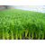 湖南蔬永农产品公司 长沙蔬菜配送公司 生鲜配送 食食材配送缩略图2