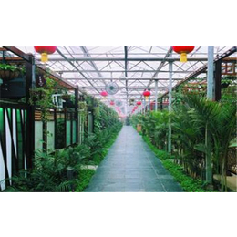 原生态餐厅-鄄城生态餐厅-齐鑫温室大棚工程地