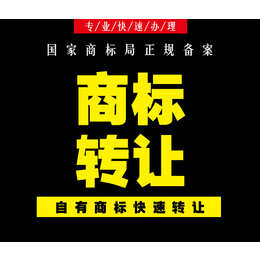 麦盾网(图)-泳衣商标转让-广州商标转让