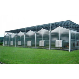 齐鑫温室大棚施工工程-阳光板温室大棚施工